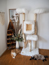 Laden Sie das Bild in den Galerie-Viewer, Naturkratzbaum Rocket, Otis & Weasly