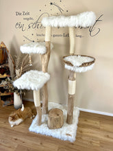 Laden Sie das Bild in den Galerie-Viewer, Naturkratzbaum Anton & Theo