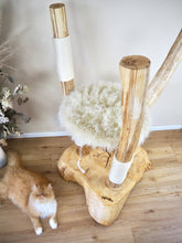 Laden Sie das Bild in den Galerie-Viewer, Naturkratzbaum Minnie, Pieps, Mia, Hector, Lias & Amelie