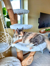 Laden Sie das Bild in den Galerie-Viewer, Naturkratzbaum Summer, Blue &amp; Kamani
